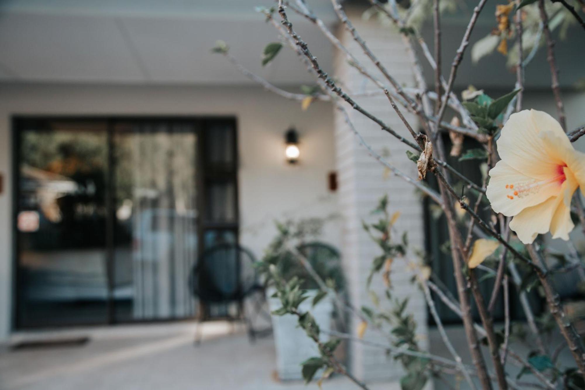 The Symphony Guest House Queenstown Luaran gambar